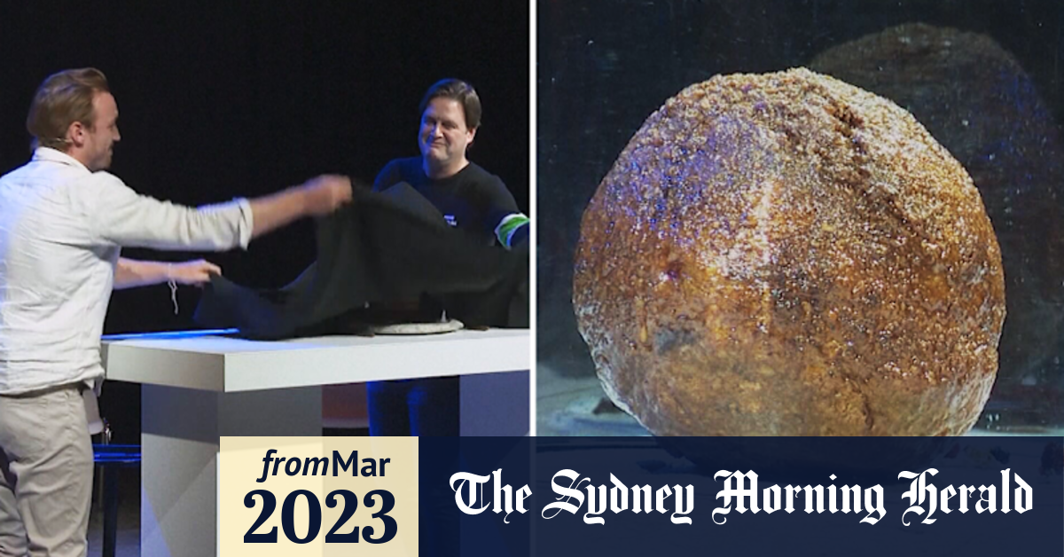 Video Mammoth meatball grown in lab